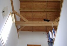 株式会社　ごえんのプレスリリース画像4