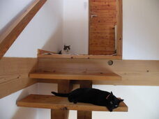 株式会社　ごえんのプレスリリース画像3