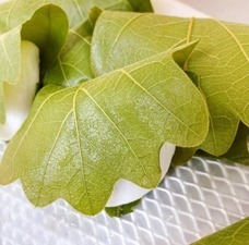 株式会社　ごえんのプレスリリース画像2