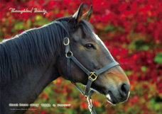 スタジオリーヴス株式会社のプレスリリース画像1