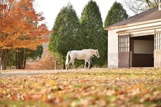 スタジオリーヴス株式会社のプレスリリース画像8
