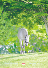 スタジオリーヴス株式会社のプレスリリース画像1