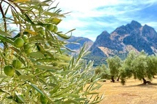 株式会社ウーブのプレスリリース画像3