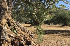 株式会社ウーブのプレスリリース画像5