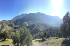 株式会社ウーブのプレスリリース画像2