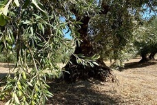 株式会社ウーブのプレスリリース画像4