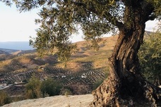 株式会社ウーブのプレスリリース画像6