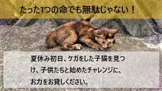 澁口由紀子のプレスリリース画像1