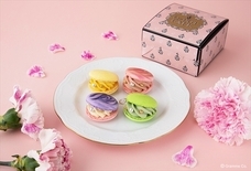 Q-pot.のプレスリリース画像3