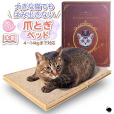 Ｉ’ｍ合同会社のプレスリリース画像4