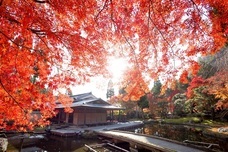 日本BS放送株式会社のプレスリリース画像6