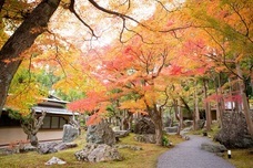 日本BS放送株式会社のプレスリリース画像7