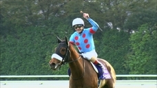 日本BS放送株式会社のプレスリリース画像2