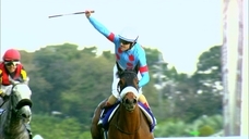 日本BS放送株式会社のプレスリリース画像1