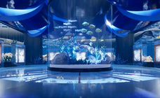 EDEN`Sのプレスリリース画像7