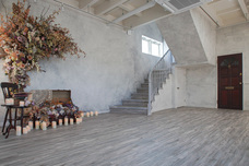 株式会社ディーウェブのプレスリリース画像6