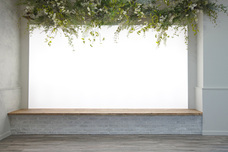 株式会社ディーウェブのプレスリリース画像5