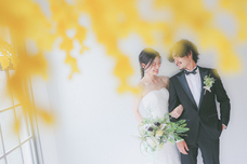 株式会社ディーウェブのプレスリリース画像2