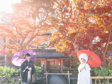 株式会社ディーウェブのプレスリリース画像4