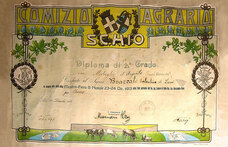 株式会社テイゲンのプレスリリース画像3