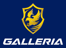 株式会社TechnoBlood eSportsのプレスリリース画像2