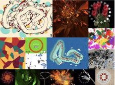 株式会社デジコロのプレスリリース画像4