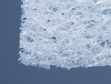 合同会社CALのプレスリリース画像2