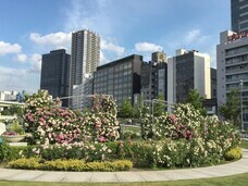 株式会社エルワールドのプレスリリース画像14