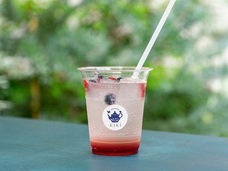 株式会社エルワールドのプレスリリース画像8