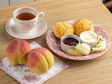 株式会社エルワールドのプレスリリース画像3