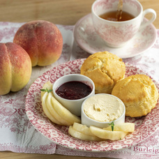 株式会社エルワールドのプレスリリース画像16