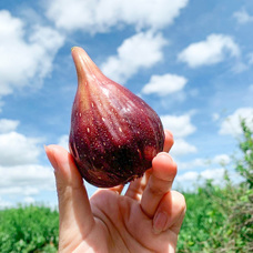 株式会社エルワールドのプレスリリース画像7