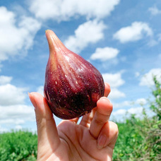 株式会社エルワールドのプレスリリース画像6