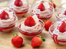 株式会社エルワールドのプレスリリース画像3