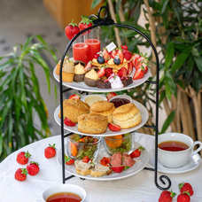 株式会社エルワールドのプレスリリース画像1