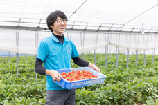 株式会社エルワールドのプレスリリース画像3