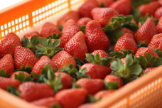 株式会社エルワールドのプレスリリース画像2