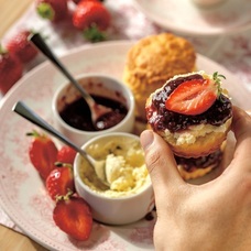 株式会社エルワールドのプレスリリース画像11