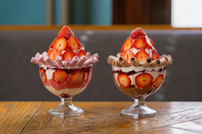 株式会社エルワールドのプレスリリース画像6