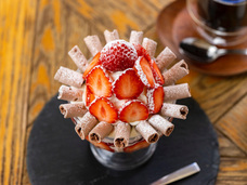 株式会社エルワールドのプレスリリース画像4