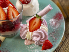 株式会社エルワールドのプレスリリース画像16