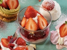 株式会社エルワールドのプレスリリース画像14