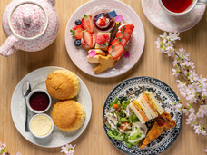 株式会社エルワールドのプレスリリース画像9