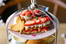 株式会社エルワールドのプレスリリース画像2