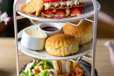 株式会社エルワールドのプレスリリース画像3