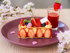 株式会社エルワールドのプレスリリース画像10