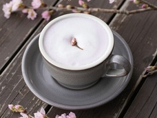 株式会社エルワールドのプレスリリース画像14