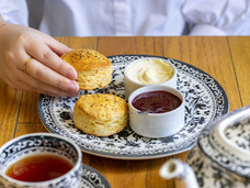 株式会社エルワールドのプレスリリース画像8