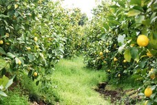 株式会社エルワールドのプレスリリース画像12