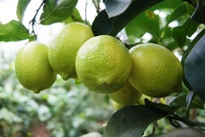 株式会社エルワールドのプレスリリース画像10